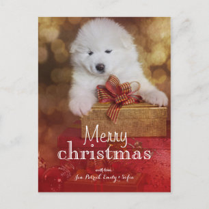 Samoyed Welpe Hund mit Weihnachtsgeschenken Feiertagspostkarte