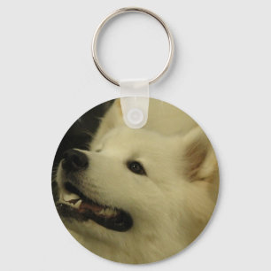 Samoyed-Welpen-Schlüsselanhänger Schlüsselanhänger