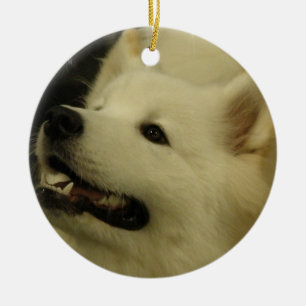 Samoyed-Welpen-Verzierung Keramik Ornament