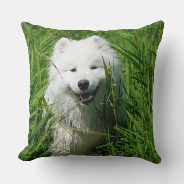 Samoyed-Wurfs-Kissen Kissen (Vorderseite)
