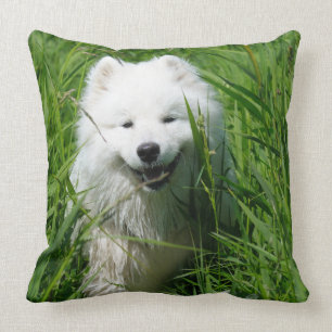 Samoyed-Wurfs-Kissen Kissen