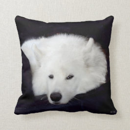 Samoyed-Wurfs-Kissen: Materialauswahl, Farbe… Kissen