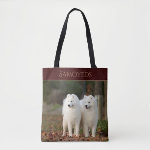 Samoyeds