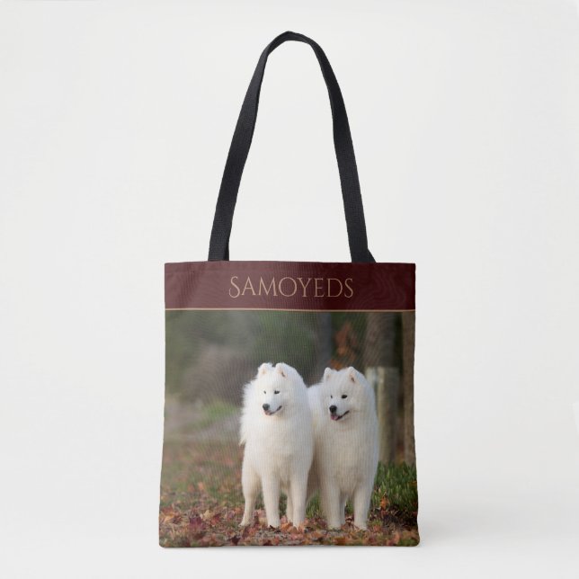 Samoyeds (Vorderseite)