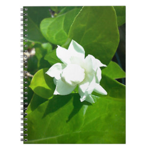 Sampaguita Jasmin-Blume Notizblock