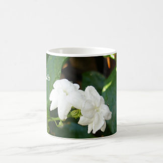 Sampaguita Tasse