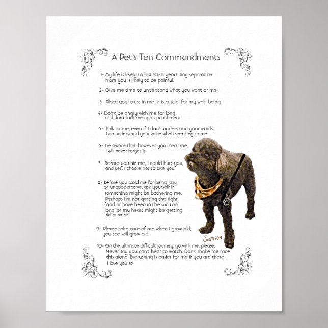 SAMSON - Poster (Vorne)