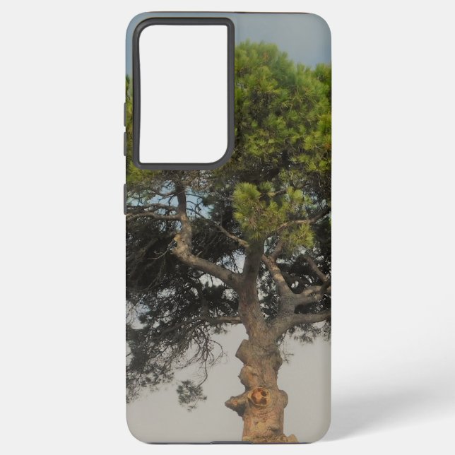 SAMSUNG GALAXY S21 ULTRA FALL COOLE ÖKO SAMSUNG GALAXY HÜLLE (Rückseite)