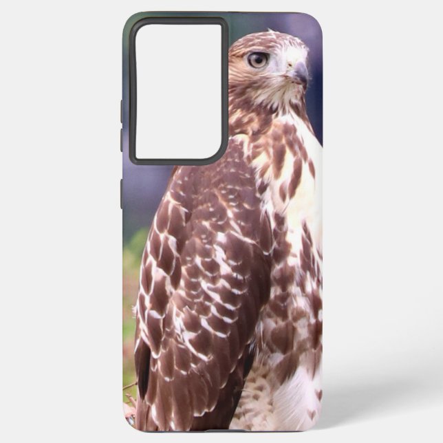 Samsung Red Schwanz Hawk Galaxy Hülle (Rückseite)