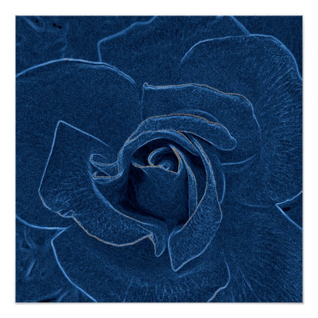 samtblaue Rose Poster (Vorderseite)