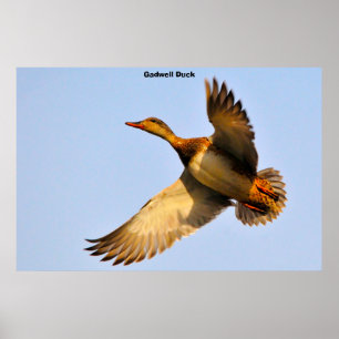 Samtente Poster
