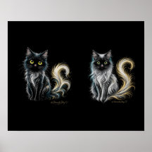 Samtmondlicht Schwarzes Katzenpaar