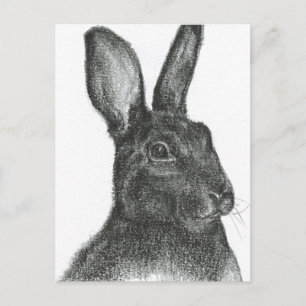 Samuel L Jackson Postkarte