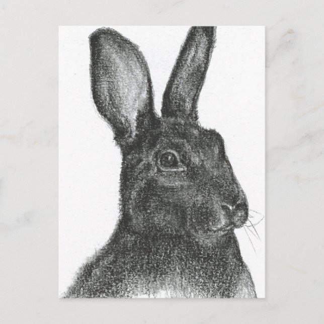 Samuel L Jackson Postkarte (Vorderseite)