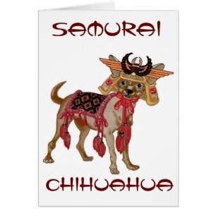 Samurai-Chihuahua