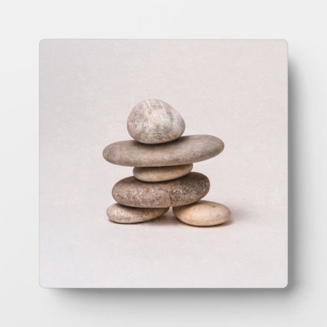 Samurai Fotoplatte (Vorderseite)