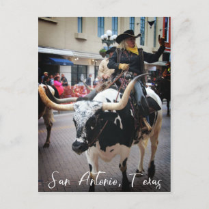 San Antonio Longhorn Postkarte