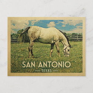 San Antonio Texas Horse Farm - Vintage Reise Postkarte