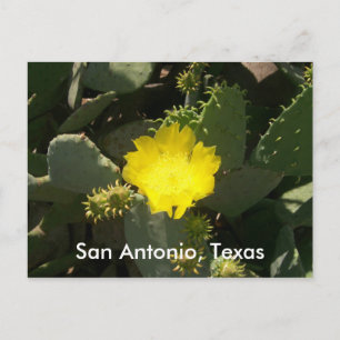 San Antonio, Texas Postkarte