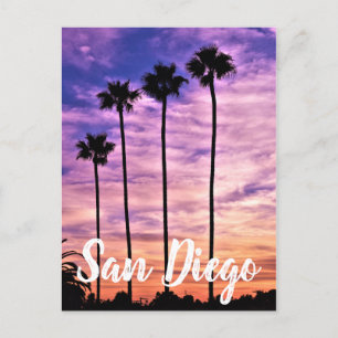 San Diego Palm Tree Sunset Feiertagspostkarte