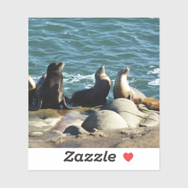 San Diego Sea Lions Aufkleber (Blatt)