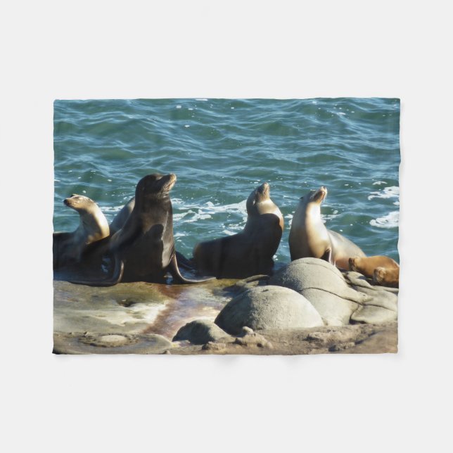San Diego Sea Lions Fleecedecke (Vorderseite (Horizontal))