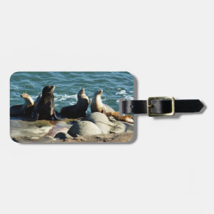 San Diego Sea Lions Gepäckanhänger