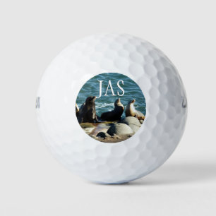 San Diego Sea Lions Golfball