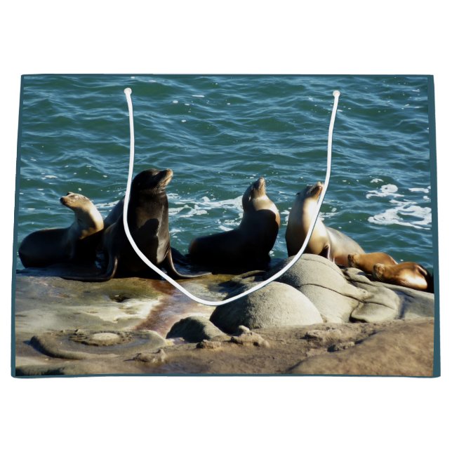 San Diego Sea Lions Große Geschenktüte (Vorderseite)
