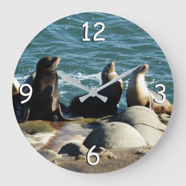 San Diego Sea Lions Große Wanduhr (Vorderseite)