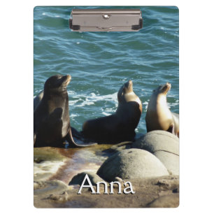 San Diego Sea Lions Klemmbrett