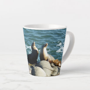 San Diego Sea Lions Milchtasse