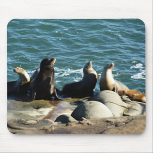 San Diego Sea Lions Mousepad