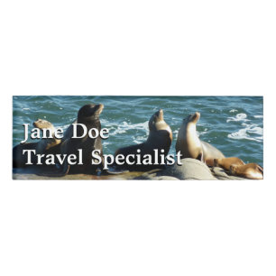 San Diego Sea Lions Namenschild