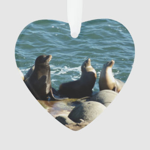 San Diego Sea Lions Ornament
