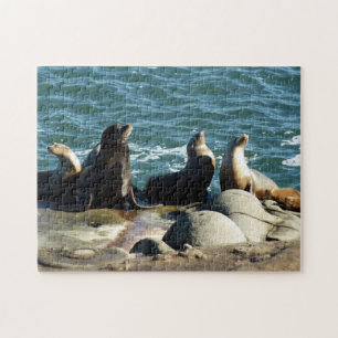 San Diego Sea Lions Puzzle