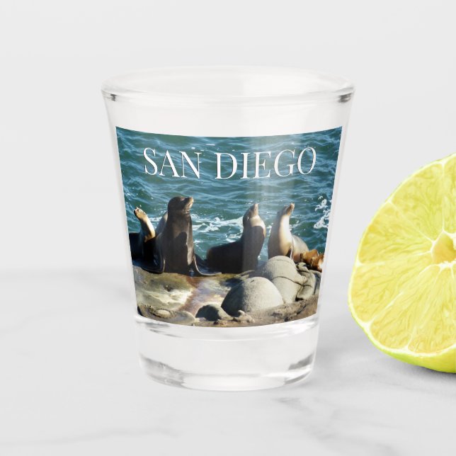 San Diego Sea Lions Schnapsglas (Vorderseite)