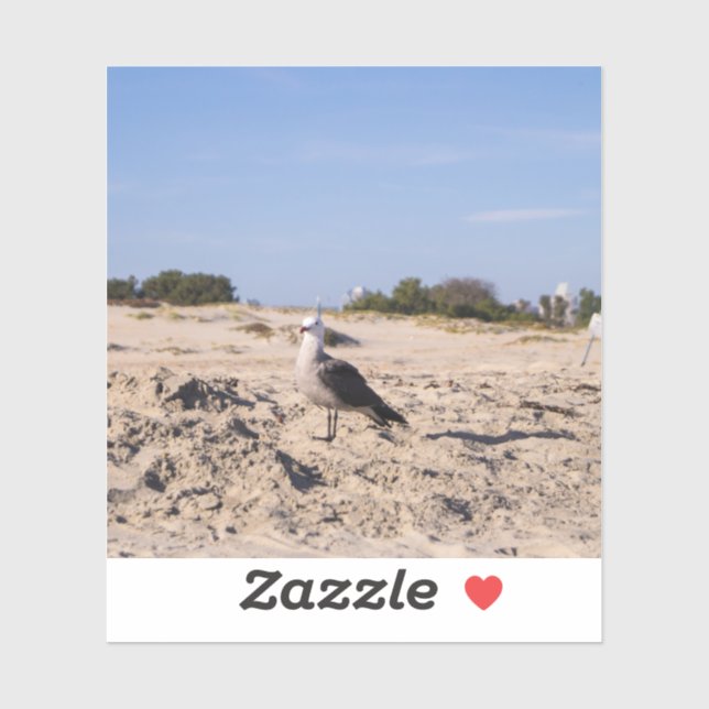 San Diego Seagull Aufkleber (Blatt)