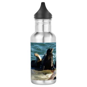 San Diego Seelöwen Edelstahlflasche