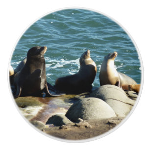 San Diego Seelöwen Keramikknauf