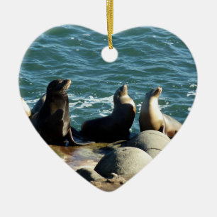 San Diego Seelöwen Keramikornament