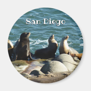 San Diego Seelöwen Magnet