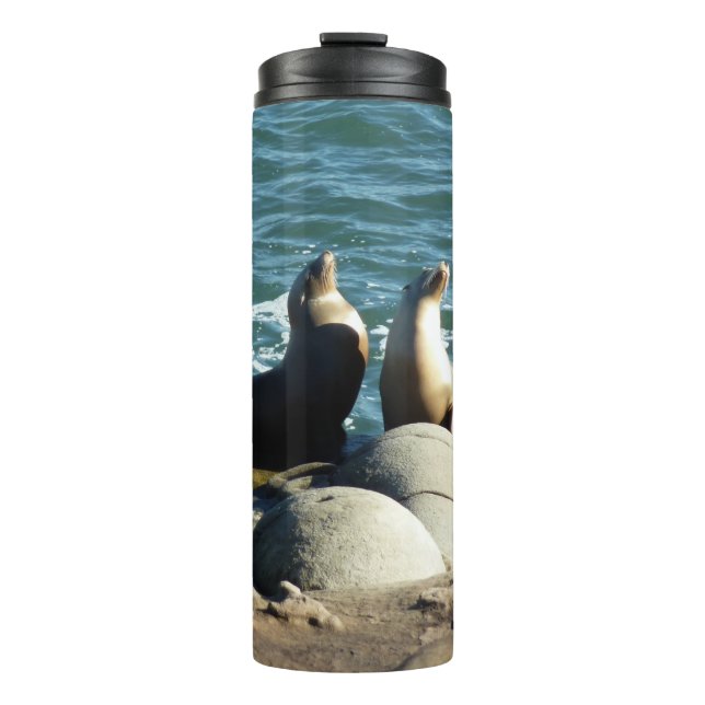 San Diego Seelöwen Thermosbecher (Vorderseite)
