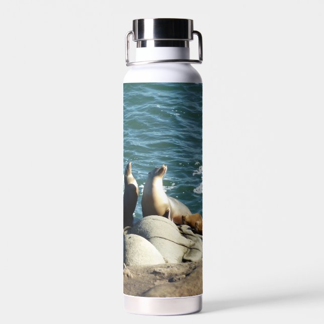 San Diego Seelöwen Trinkflasche (Rückseite)