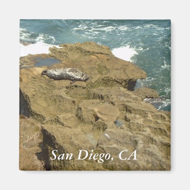 San Diego Sonnenbaden Siegel Magnet (Vorne)