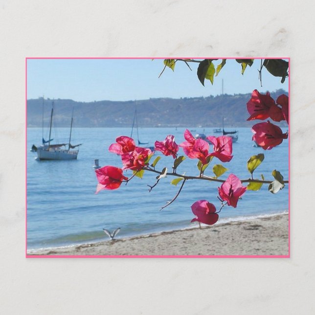 San Diego Strand Postkarte (Vorderseite)
