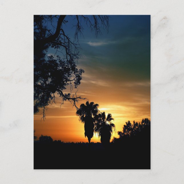 San Diego Sunset Postkarte (Vorderseite)
