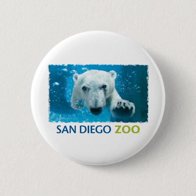 San Diego Zoo-Eisbär Button (Vorderseite)