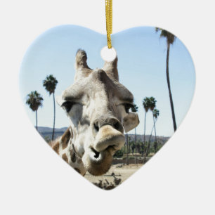 San Diego Zoo Keramik Ornament
