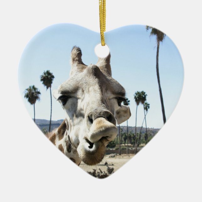 San Diego Zoo Keramik Ornament (Vorne)